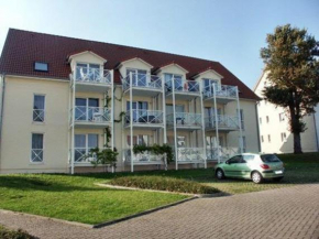 Backbord, Insel Poel